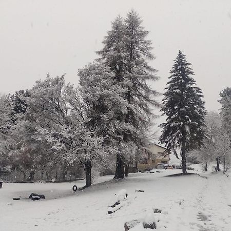 Posada Del Nireco San Carlos de Bariloche Bagian luar foto