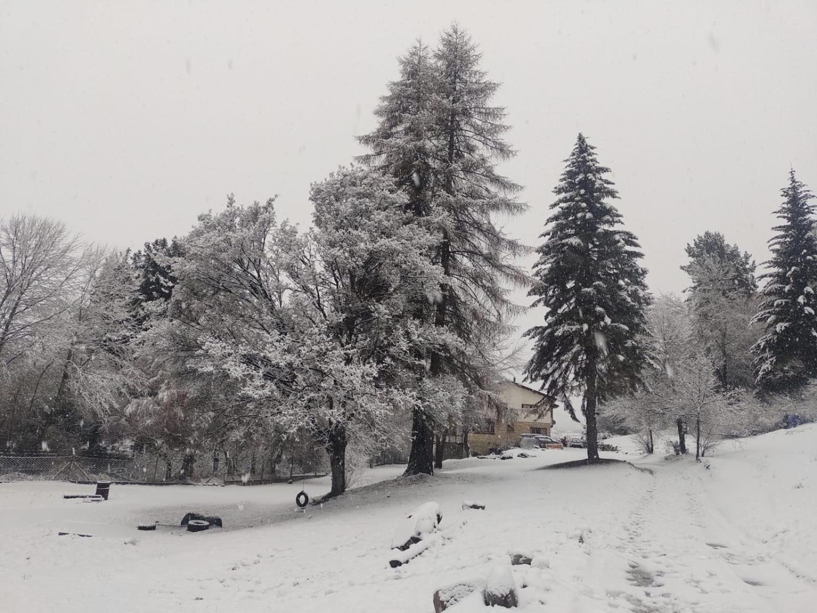 Posada Del Nireco San Carlos de Bariloche Bagian luar foto