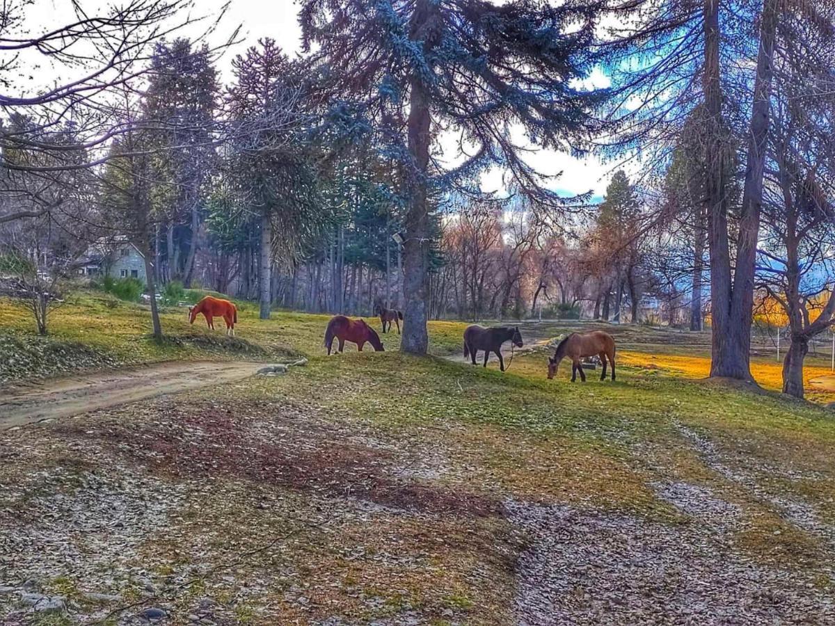 Posada Del Nireco San Carlos de Bariloche Bagian luar foto