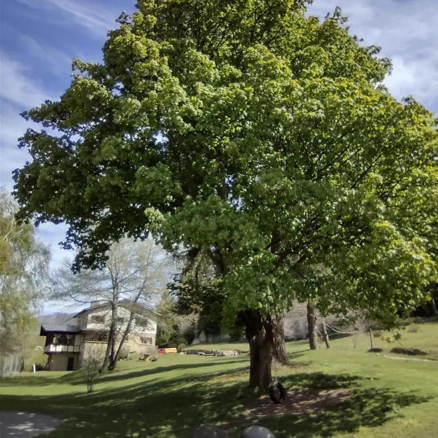 Posada Del Nireco San Carlos de Bariloche Bagian luar foto