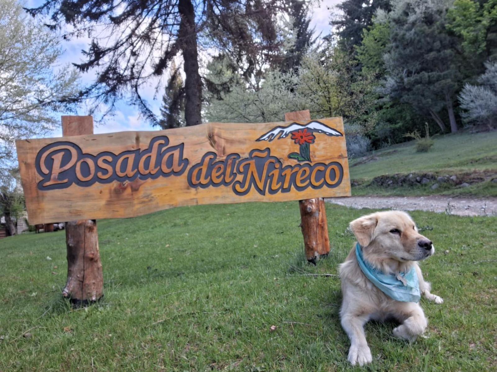 Posada Del Nireco San Carlos de Bariloche Bagian luar foto